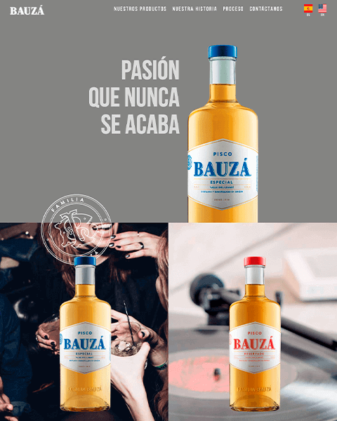 Pisco Bauzá website